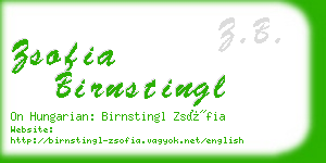 zsofia birnstingl business card